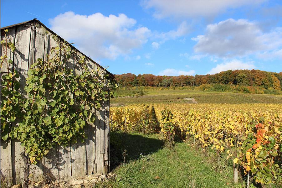 Gite Du " Bas Du Cru " Romery (Marne) Exterior photo