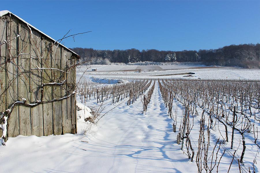 Gite Du " Bas Du Cru " Romery (Marne) Exterior photo
